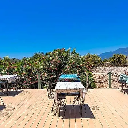 Hotel Lacitrus And 3*