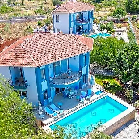 Hotel Lacitrus And